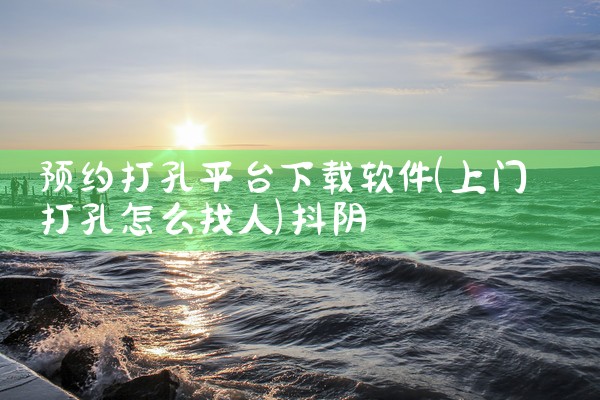 预约打孔平台下载软件|抖阴