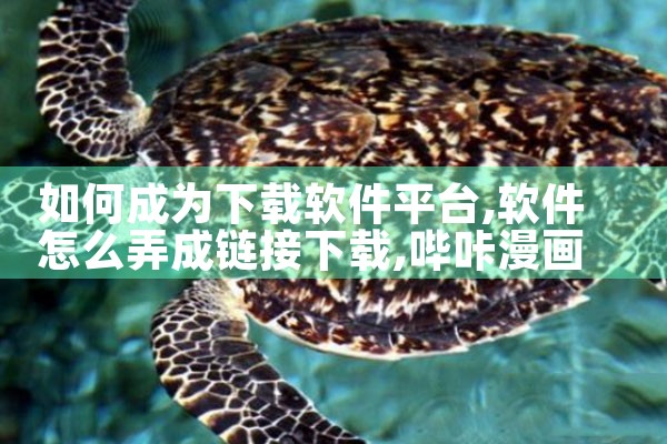 微信人脉平台软件下载|小蓝视频