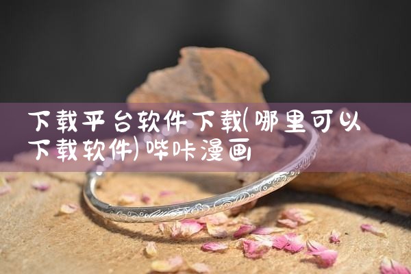 下载平台软件下载|哔咔漫画