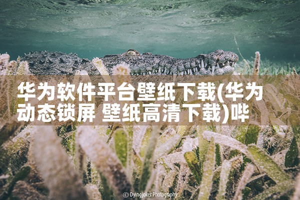黄色直播平台软件 下载|哔咔漫画