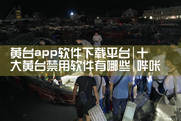 黄台app软件下载平台|哔咔漫画
