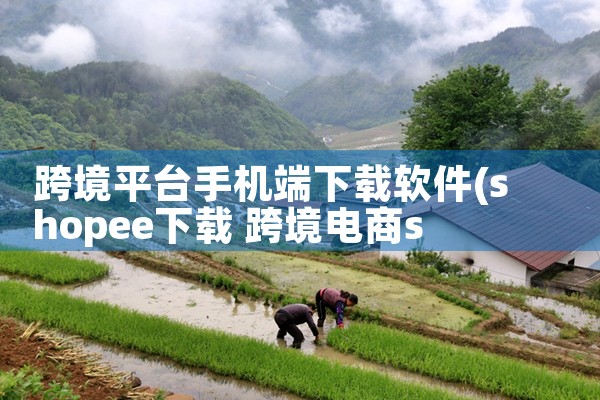 跨境平台手机端下载软件|小蓝视频